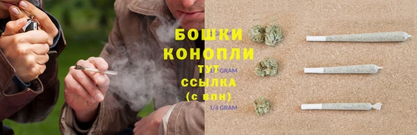сатива Абдулино