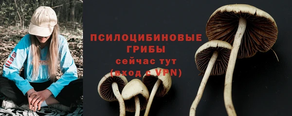 дурь Алексин