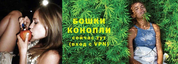 сатива Абдулино