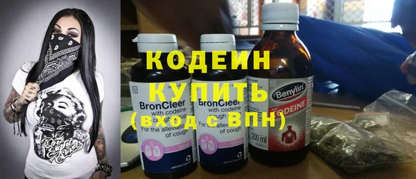дурь Алексин